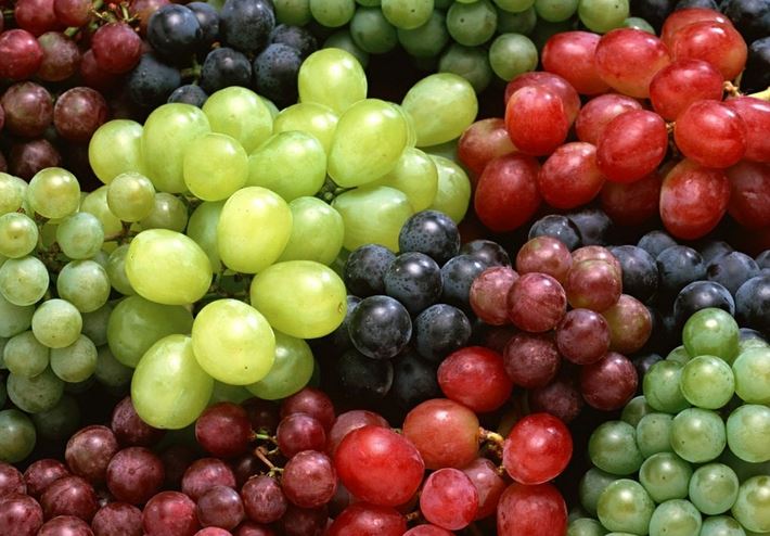 Grapes 1 